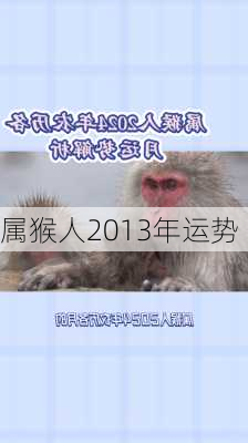 属猴人2013年运势