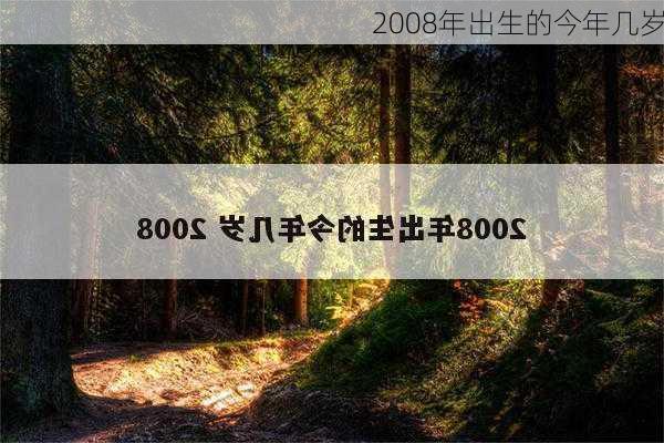 2008年出生的今年几岁