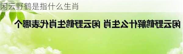 闲云野鹤是指什么生肖