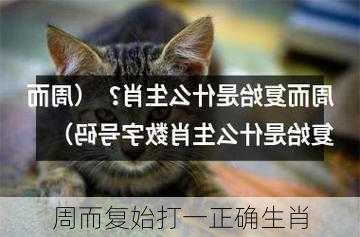 周而复始打一正确生肖