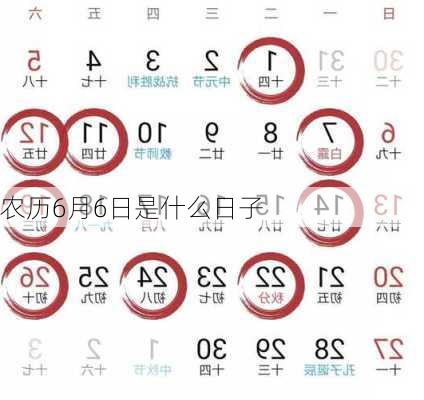 农历6月6日是什么日子