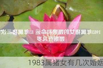 1983属猪女有几次婚姻