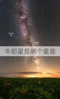 牛郎星是哪个星座