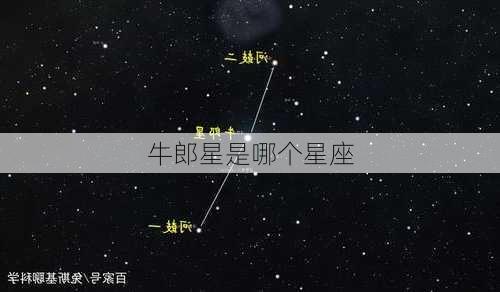 牛郎星是哪个星座