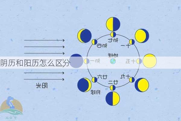 阴历和阳历怎么区分