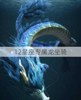 12星座专属龙坐骑