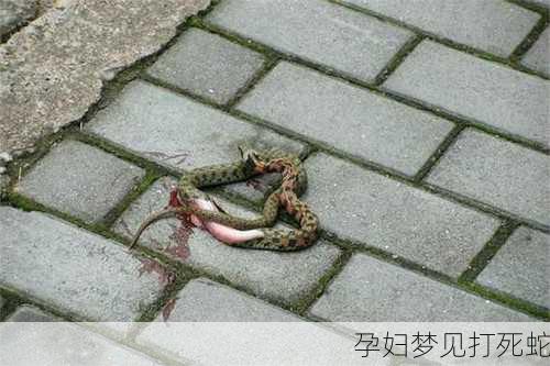 孕妇梦见打死蛇