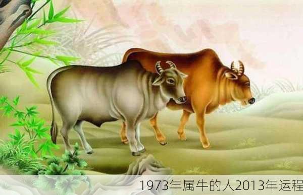 1973年属牛的人2013年运程