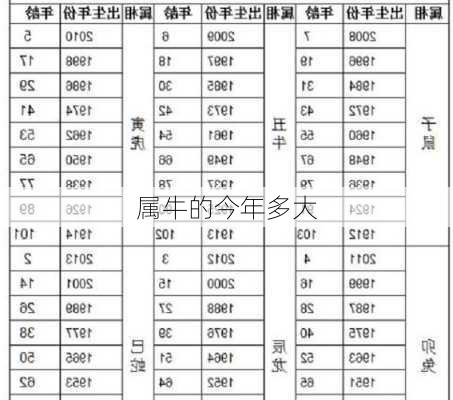 属牛的今年多大