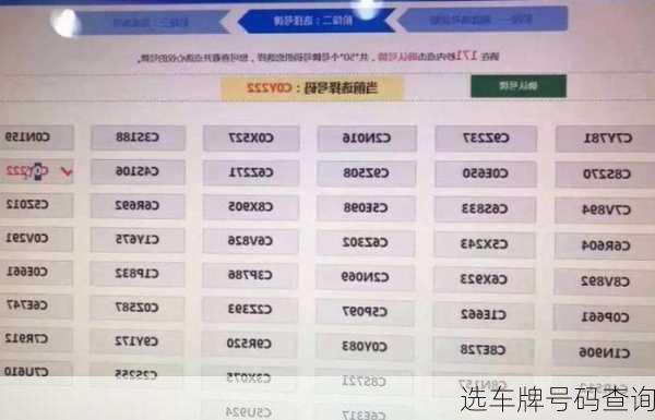 选车牌号码查询
