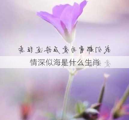 情深似海是什么生肖