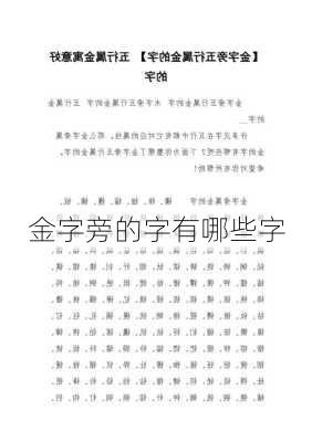 金字旁的字有哪些字