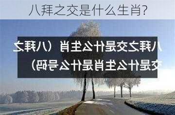 八拜之交是什么生肖?