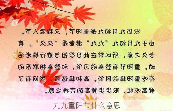 九九重阳节什么意思