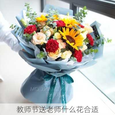 教师节送老师什么花合适