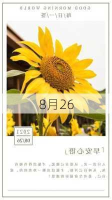 8月26