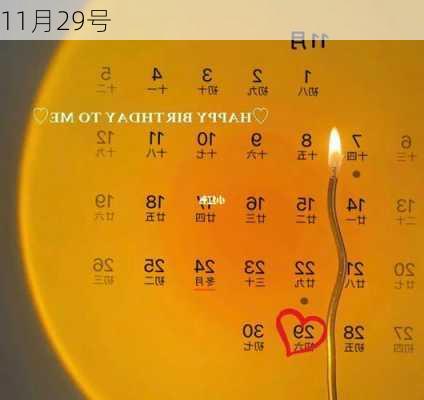 11月29号