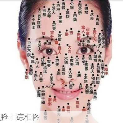 脸上痣相图