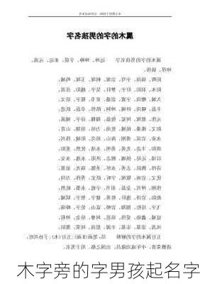 木字旁的字男孩起名字