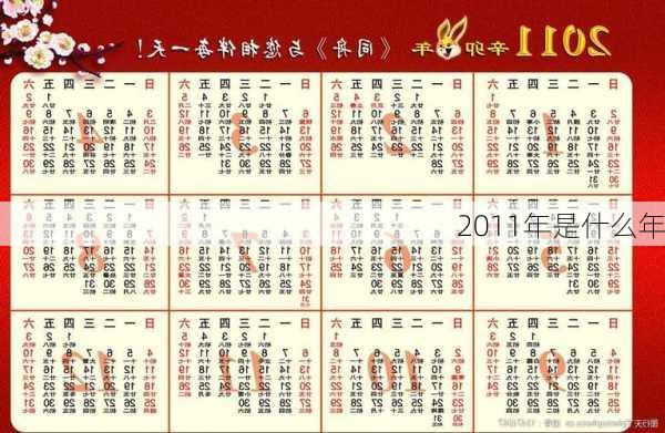 2011年是什么年