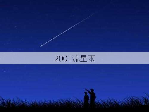 2001流星雨