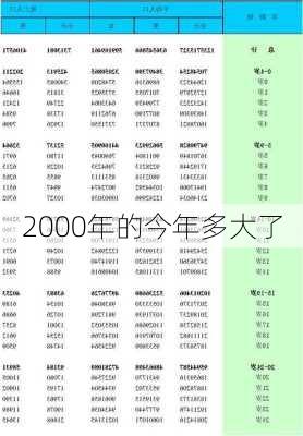 2000年的今年多大了