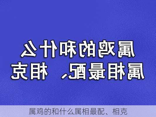 属鸡的和什么属相最配、相克