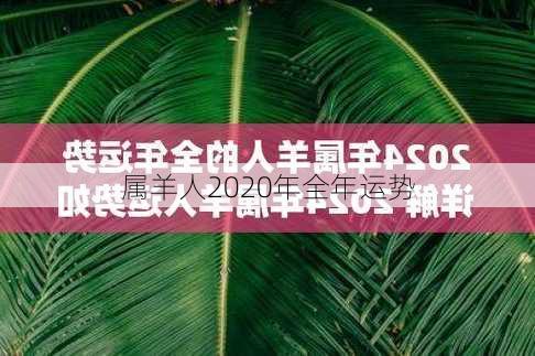 属羊人2020年全年运势