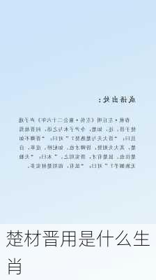 楚材晋用是什么生肖