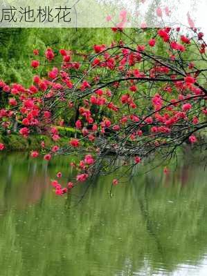 咸池桃花