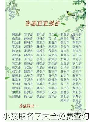 小孩取名字大全免费查询