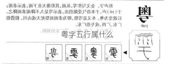 粤字五行属什么