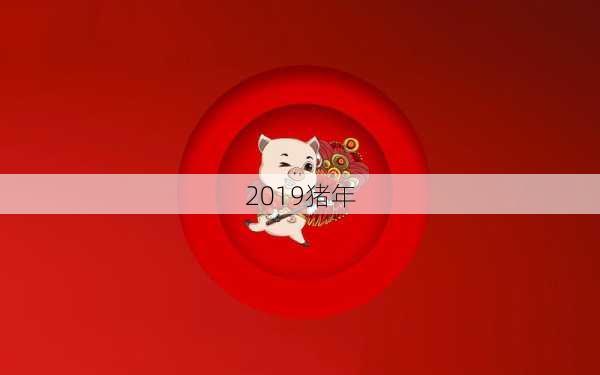 2019猪年