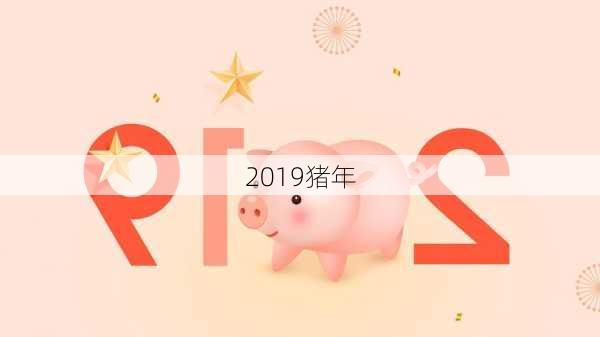 2019猪年