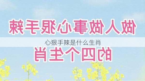 心狠手辣是什么生肖