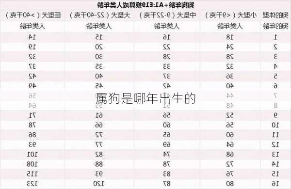 属狗是哪年出生的