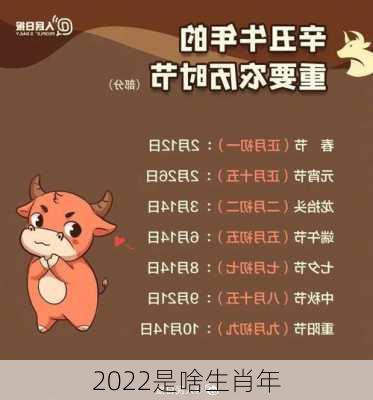 2022是啥生肖年