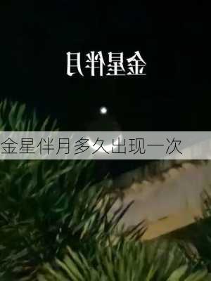 金星伴月多久出现一次