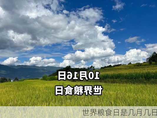 世界粮食日是几月几日