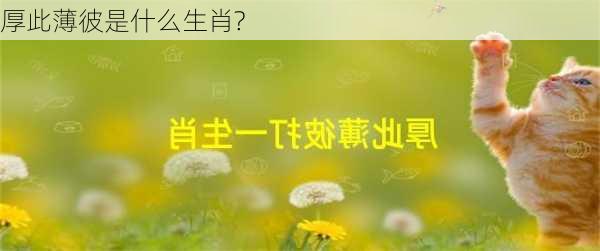 厚此薄彼是什么生肖?