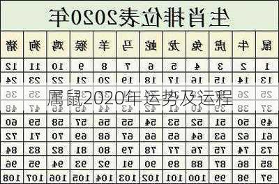 属鼠2020年运势及运程