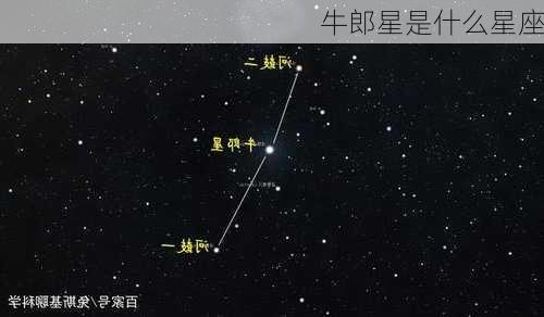 牛郎星是什么星座