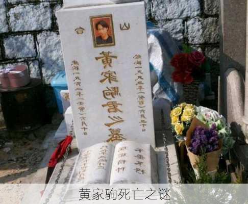 黄家驹死亡之谜