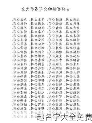 起名字大全免费