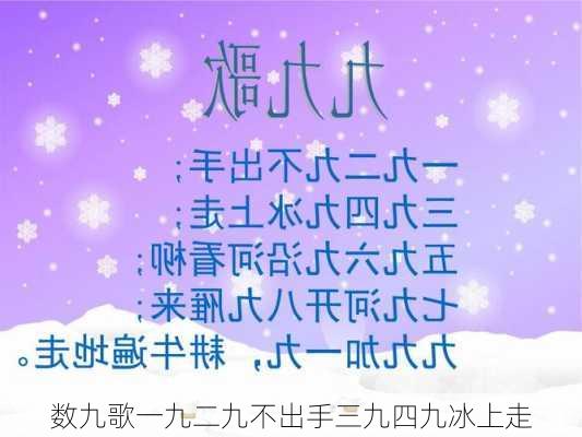 数九歌一九二九不出手三九四九冰上走