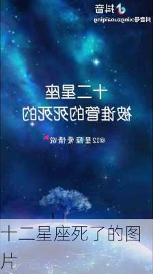 十二星座死了的图片