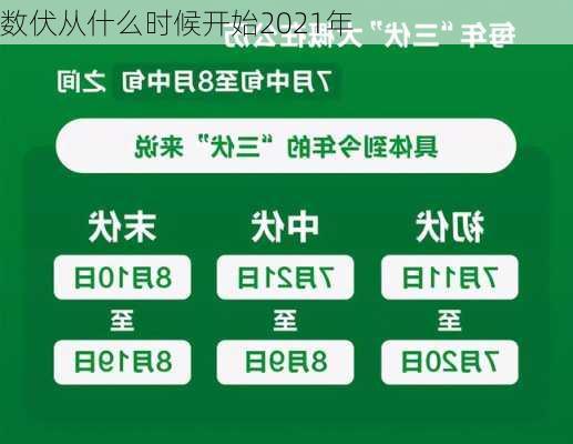 数伏从什么时候开始2021年