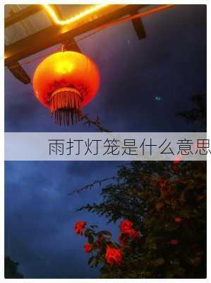 雨打灯笼是什么意思