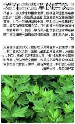 端午节艾草的意义