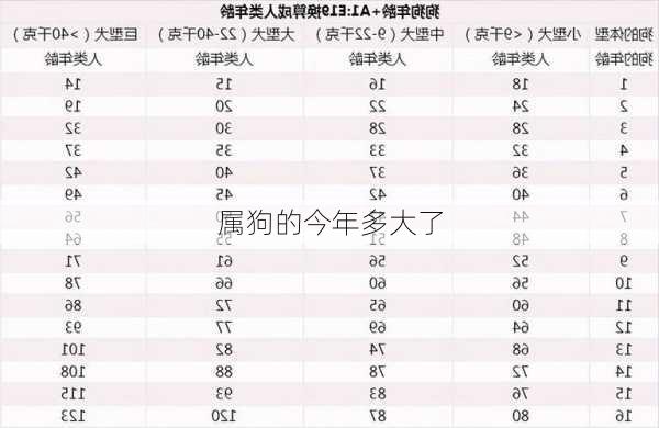 属狗的今年多大了